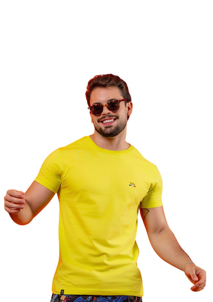 Camisa Masculina Gola Careca Básica Coloridas