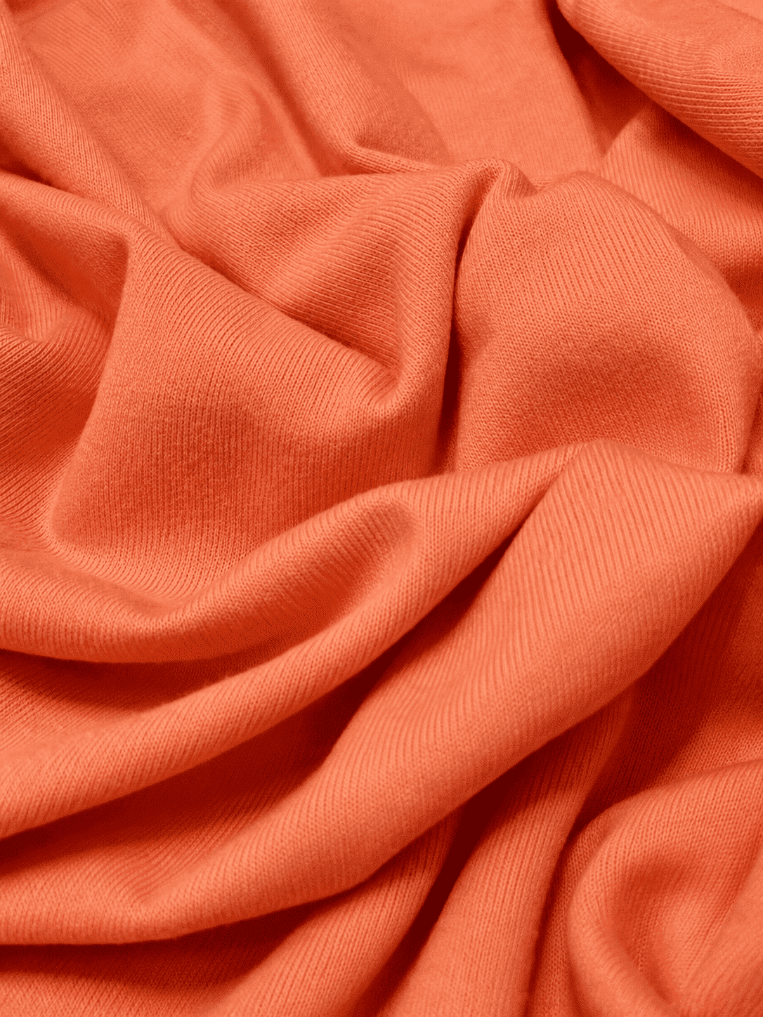 SALMÃO