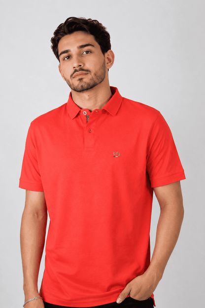 Camisa Polo Masculina Oliveiras Coloridas